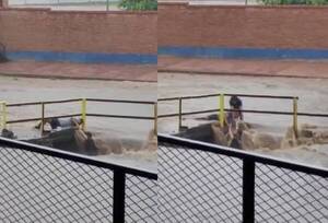 [VIDEO] Entre tres se pusieron para rescatar a un hombre del raudal