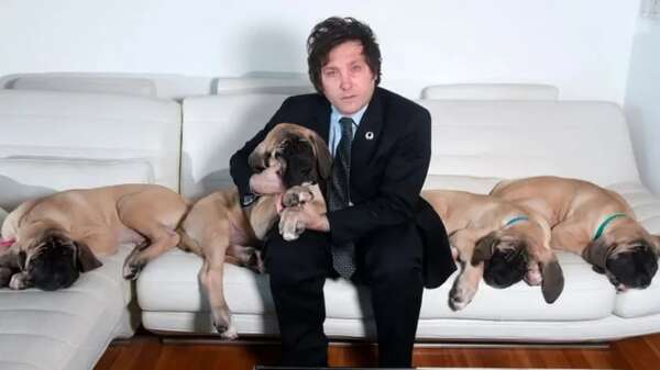 Javier Milei y el misterio de sus “hijos de cuatro patas”, clones de Conan, su perro muerto - Mascotas - ABC Color
