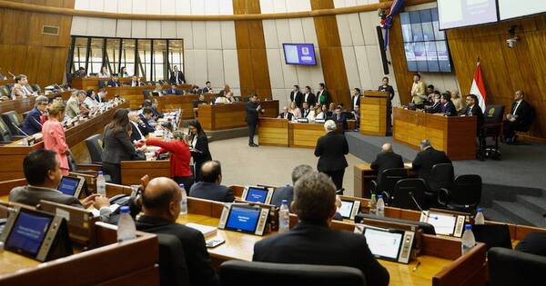La Nación / El Senado no tratará la ley de jubilaciones en próxima sesión