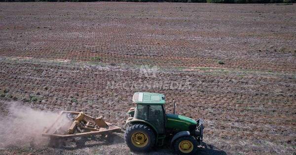 La Nación / FARM advierte que acciones para limitar calentamiento global y emisiones cero son insuficientes
