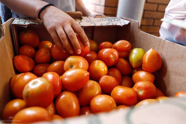 Diario HOY | Otra vez sube el precio del tomate y el MAG desmiente que sea por escasez