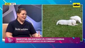 Mascotas: purina VS. comidas caseras  - Ensiestados - ABC Color