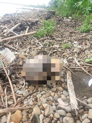 Investigan hallazgo de un cráneo humano a orillas del río Paraná - ADN Digital