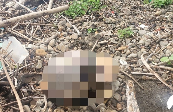 Fiscalía investiga hallazgo de un cráneo humano a orillas del río Paraná