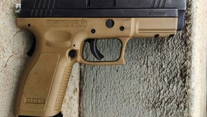 IAS utilizaba a familias enteras al registrar armas que iban al Brasil