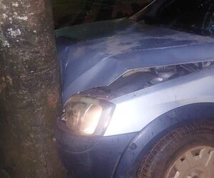 Mujer en estado de ebriedad choca a un auto y luego impacta contra un árbol en una plaza – Diario TNPRESS