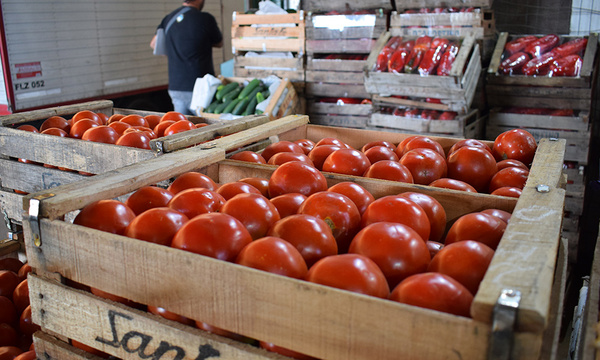 El precio del tomate se estabiliza gracias a la intervención de productores frutihortícolas