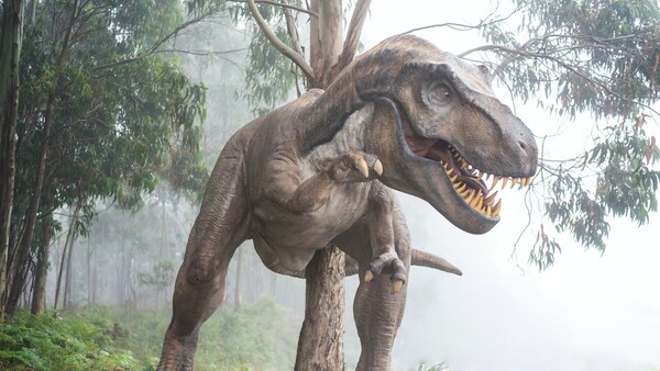 Diario HOY | Un fósil revela cuál fue la última comida de un joven tiranosaurio