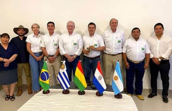Gremios del Mercosur piden plena aplicación del mercado del carbono - Nacionales - ABC Color