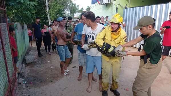 Video: rescatan kuriju de seis metros en Mariano Roque Alonso - Nacionales - ABC Color