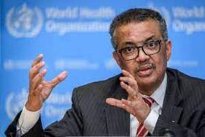 El jefe de la OMS afirma que el sistema de salud de Gaza está "colapsado"