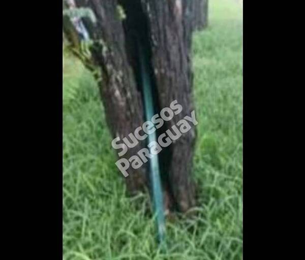 Le rompieron la pierna con reja de hierro del Botánico para robarle