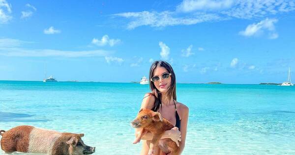 La Nación / ¡Agatha León disfruta de sus vacaciones en la isla de los cerdos!