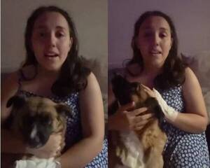 [VIDEO] Hizo emotivo video buscando una familia cariñosa que pueda adoptar a sus mascotas