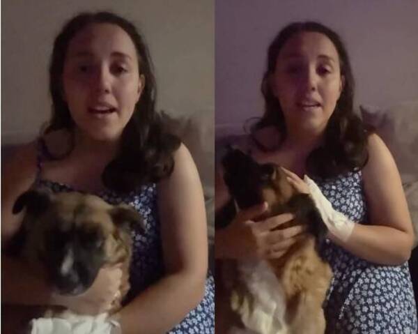 [VIDEO] Hizo emotivo video buscando una familia cariñosa que pueda adoptar a sus mascotas