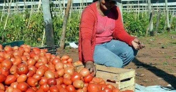 La Nación / Lucha contra el contrabando está dando sus frutos