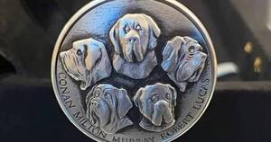La Nación / Homenaje a los perros de Milei