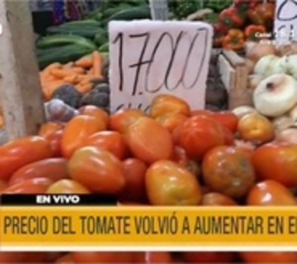 Tomates vuelven a subir en el Abasto - Paraguay.com