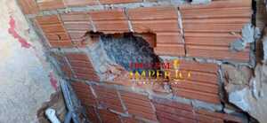 Perforan pared de una cantera en el barrio General Genes para hurtar - Radio Imperio 106.7 FM