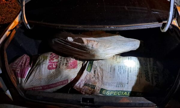 Aprehenden a dos hombres que transportaban unos 200 kilos de carne vacuno