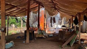Culminó mega operativo conjunto con más de 327 toneladas de marihuana eliminadas