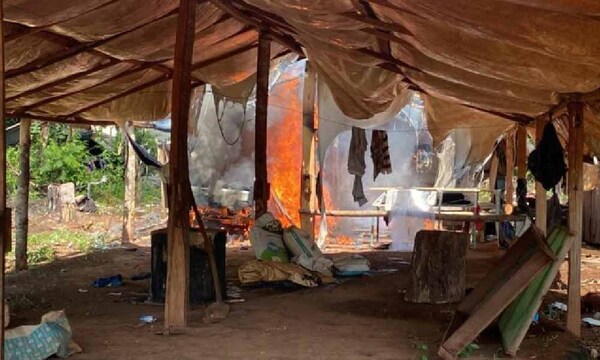 Megaoperativo en conjunto permitió eliminar 327 toneladas de marihuana en Canindeyú – Prensa 5