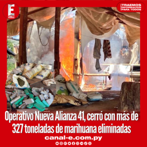 Operativo Nueva Alianza 41, cerró con más de 327 toneladas de marihuana eliminadas