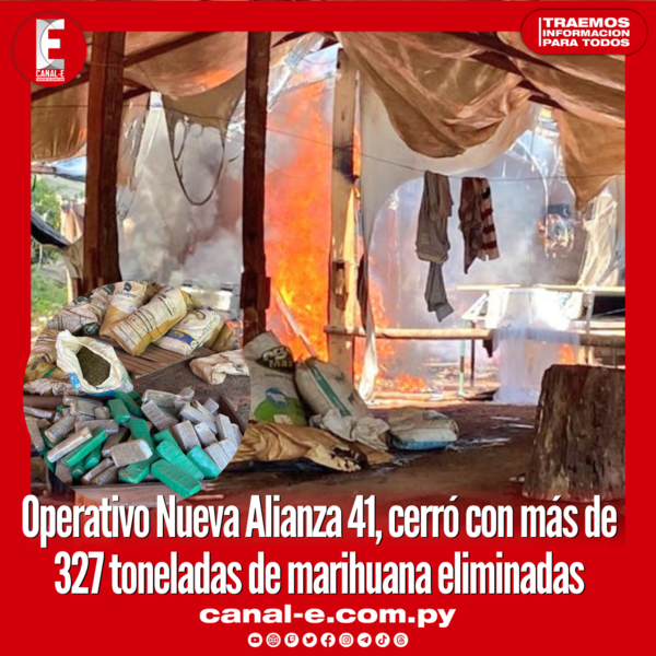 Operativo Nueva Alianza 41, cerró con más de 327 toneladas de marihuana eliminadas