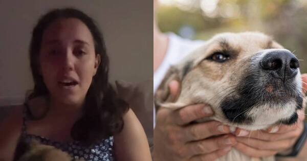 La Nación / Viral: paciente ambulatoria busca nueva casa para sus mascotas