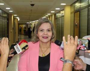 Superintendencia es necesaria, pero sin tocar los fondos jubilatorios, dice Samaniego - Política - ABC Color