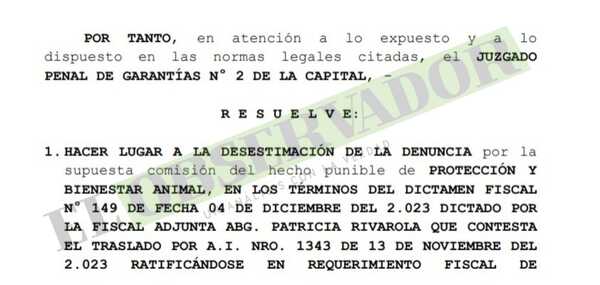 Desestiman denuncia contra veterinaria por supuesta fosa clandestina con restos animales