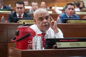“Bachi” Núñez insiste en que proyecto de Superintendencia de Jubilaciones se trate este año - Política - ABC Color