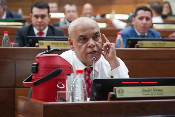 “Bachi” Núñez insiste en que proyecto de Superintendencia de Jubilaciones se trate este año - Política - ABC Color