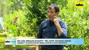 Video: en Agrodinámica hablaron y mostraron sobre plantación de yerba mate  - ABC Rural - ABC Color