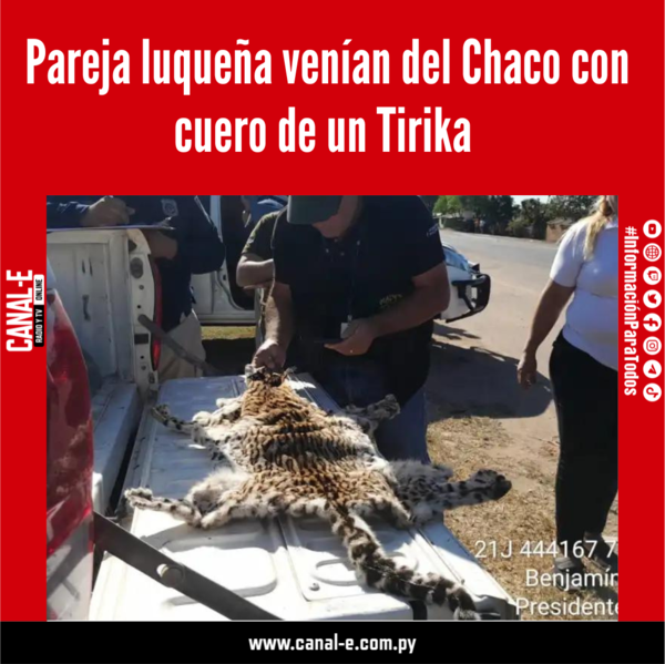 Pareja luqueña venían del Chaco con cuero de un Tirika
