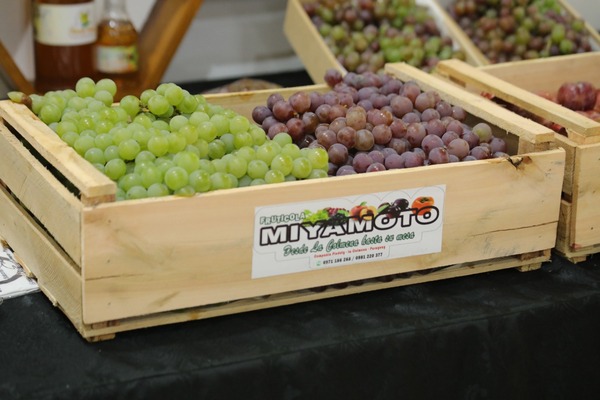La Colmena invita a la Expo Frutas