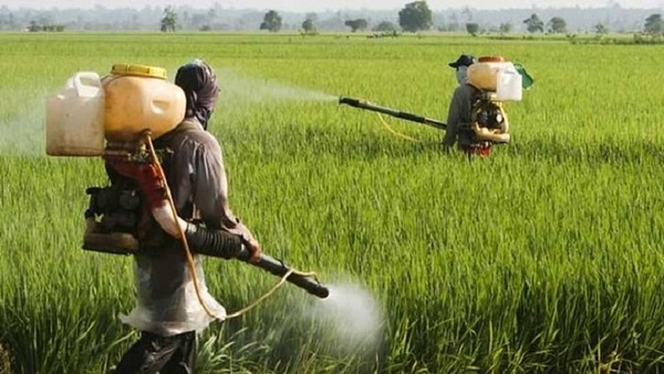 HRW pide a Lula vetar proyecto de ley de uso pesticidas - ADN Digital