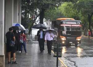 Peña habla de licitar itinerarios de transporte público - Economía - ABC Color