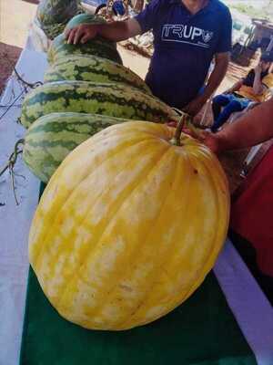 Expo Sandía, una oportunidad para dinamizar economía de productores - La Clave
