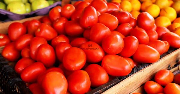 La Nación / Reportan nueva escalada en el precio del tomate