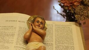 Lunes 12 de Diciembre 2023 – Evangelio de hoy - Portal Digital Cáritas Universidad Católica