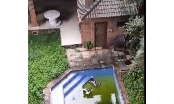 Municipalidad interviene vivienda con piscina abandonada
