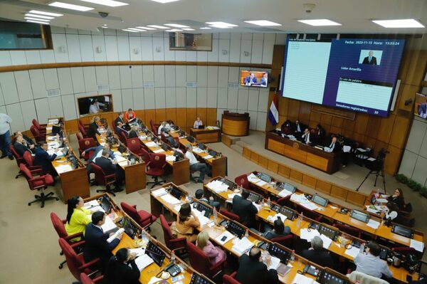 Tren de cercanía, en el orden del día de sesión extra del Senado - ADN Digital