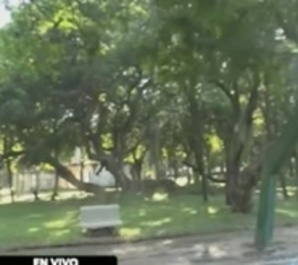 Parque Caballero tomado por adictos - Paraguay.com