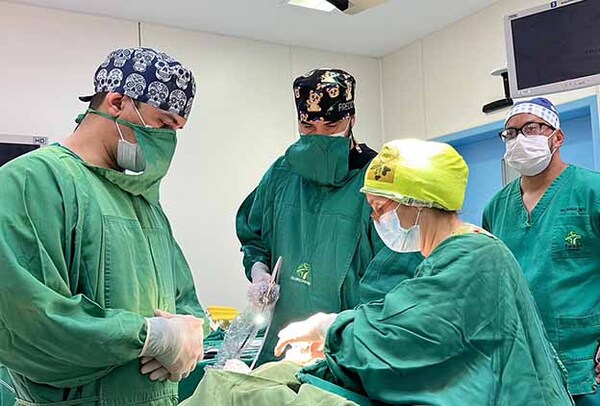 Rara enfermedad: Inédita cirugía en recién nacido en la Fundación Tesãi | DIARIO PRIMERA PLANA