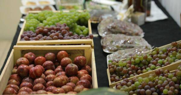 La Nación / Expo Frutas: inmigración japonesa desarrollará feria con su producción