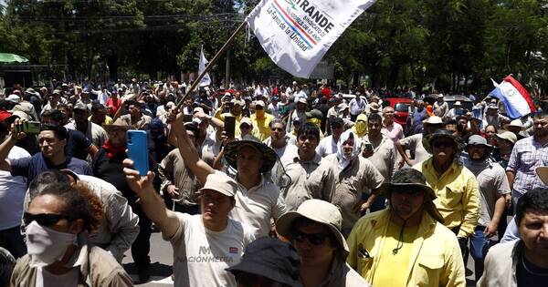 La Nación / Sindicalistas de la Ande denunciados por NM agredieron a periodista