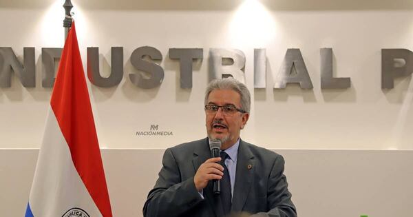 La Nación / La Superintendencia no hará uso de ninguna caja, reafirmó titular de la UIP