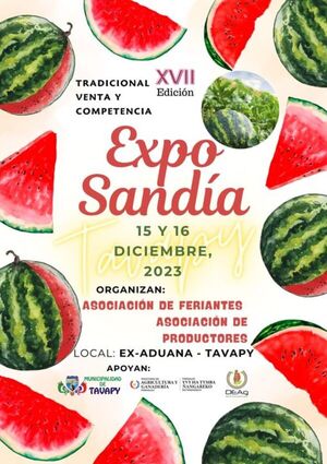 Declaran de interés departamental la Expo Sandía de Tavapy - ADN Digital