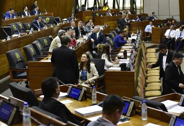 “Colegas me dijeron que mañana se trata ley de Superintendencia en Diputados”, afirma Centurión - Política - ABC Color